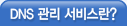 ���� dns ����